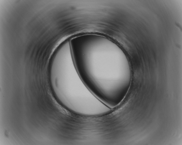 X0000097830934200803140825