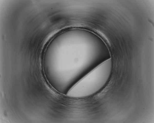 X0000097830935200803140825