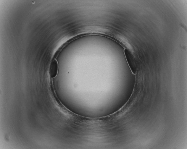 X0000097830936200803140825