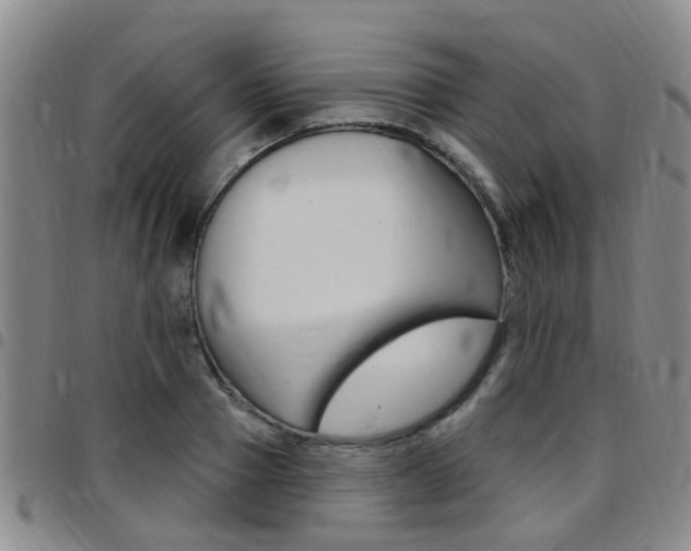 X0000097830937200803140825