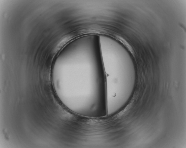 X0000097830938200803140825
