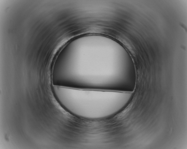 X0000097830939200803140825