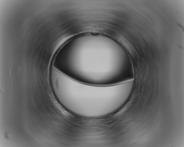 X0000097830940200803140825
