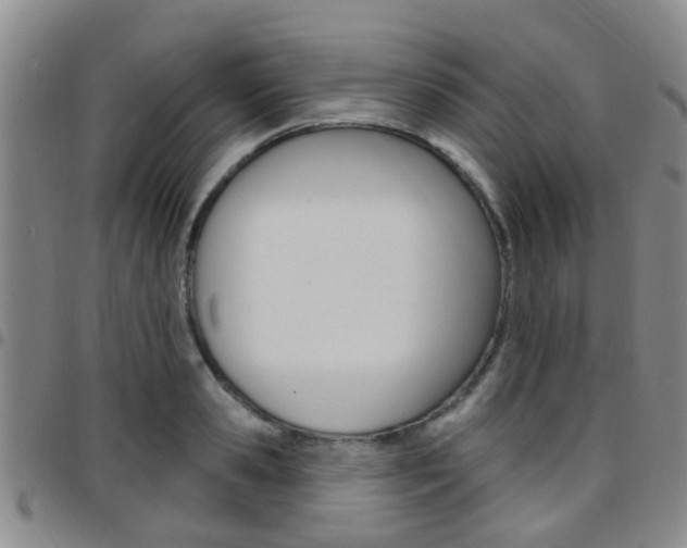 X0000097830941200803140825