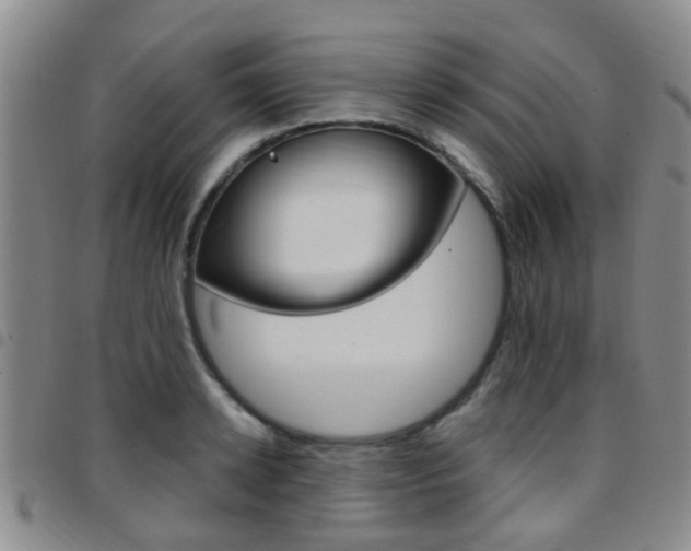 X0000097830942200803140825
