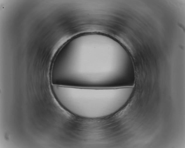 X0000097830943200803140825
