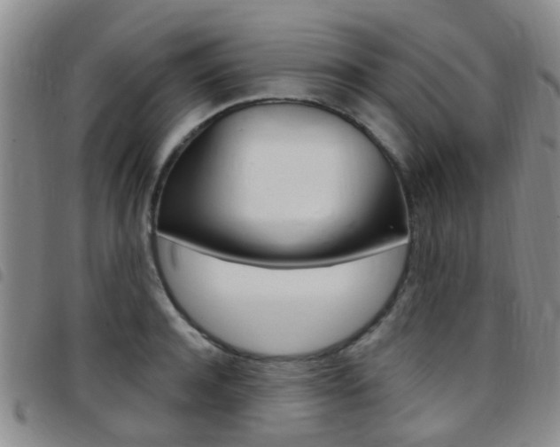 X0000097830944200803140825