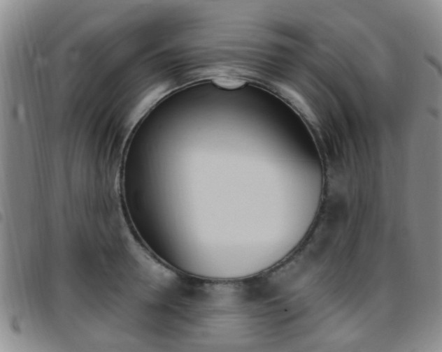 X0000097830946200803140825