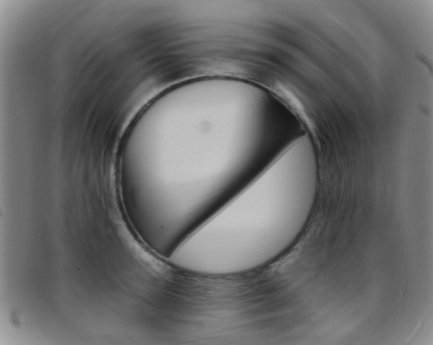 X0000097830947200803140825