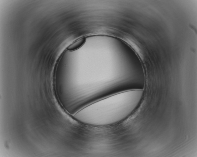 X0000097830949200803140825