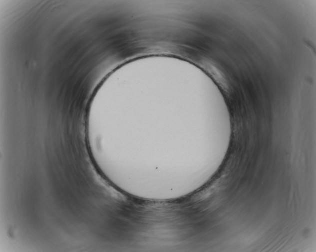 X0000097830950200803140825