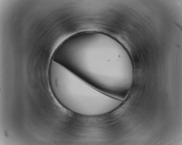X0000097830951200803140825