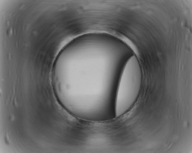 X0000097830958200803140825