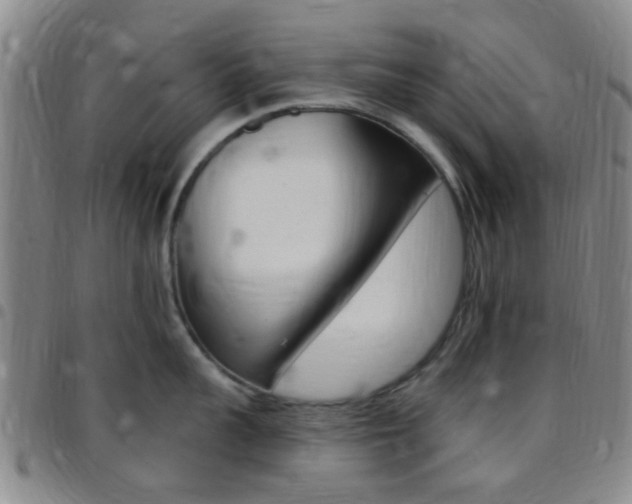 X0000097830959200803140825