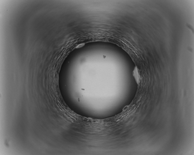 X0000097830961200803140824
