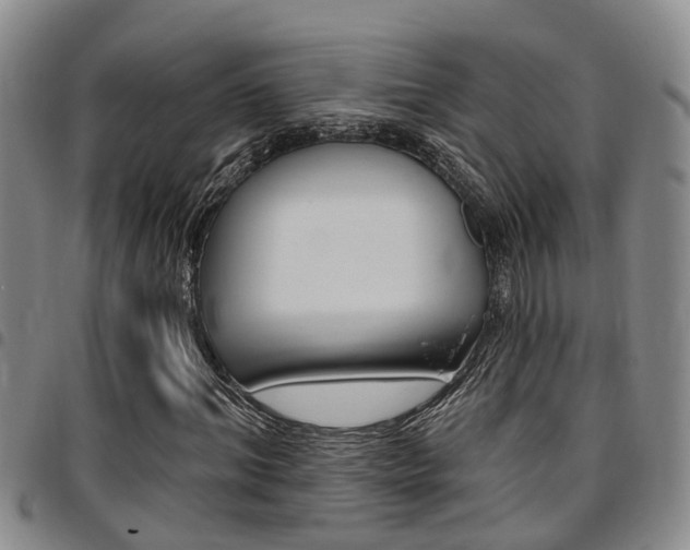 X0000097830964200803140824