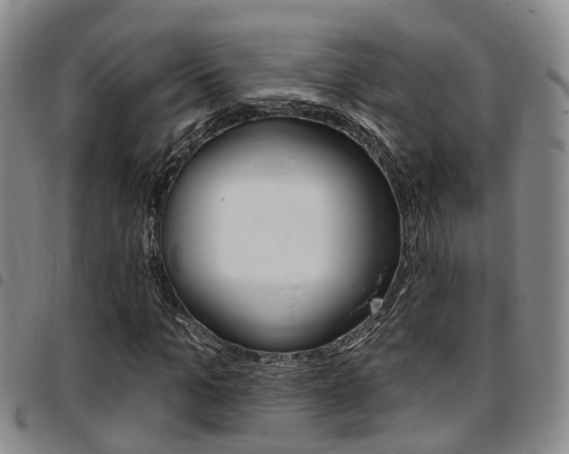 X0000097830965200803140824