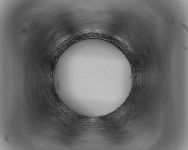 X0000097830966200803140824