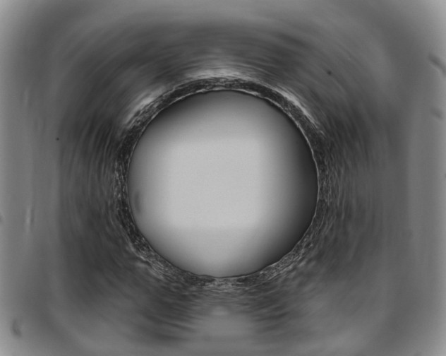X0000097830967200803140824