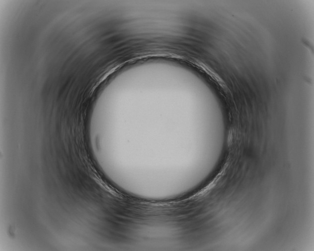 X0000097830969200803140824