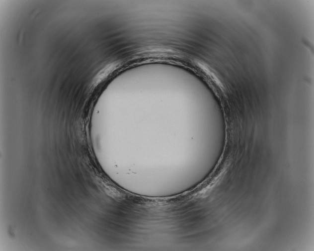 X0000097830970200803140824