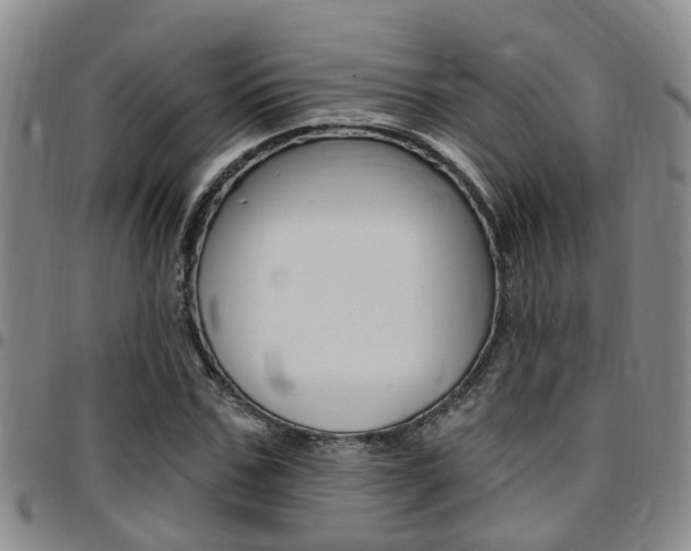 X0000097830971200803140824