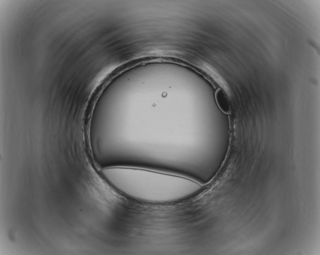 X0000097830972200803140824