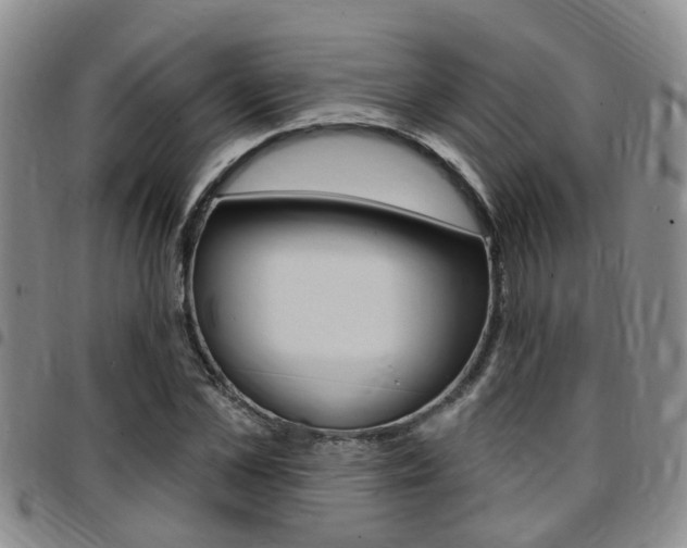 X0000097830973200803140824