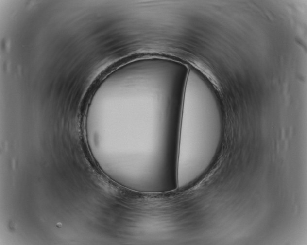X0000097830976200803140824