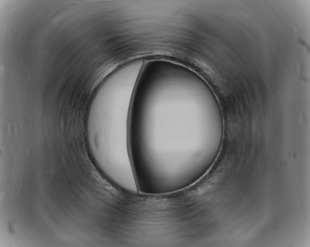X0000097830977200803140824
