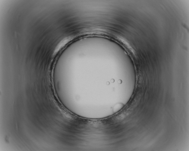 X0000097830978200803140824