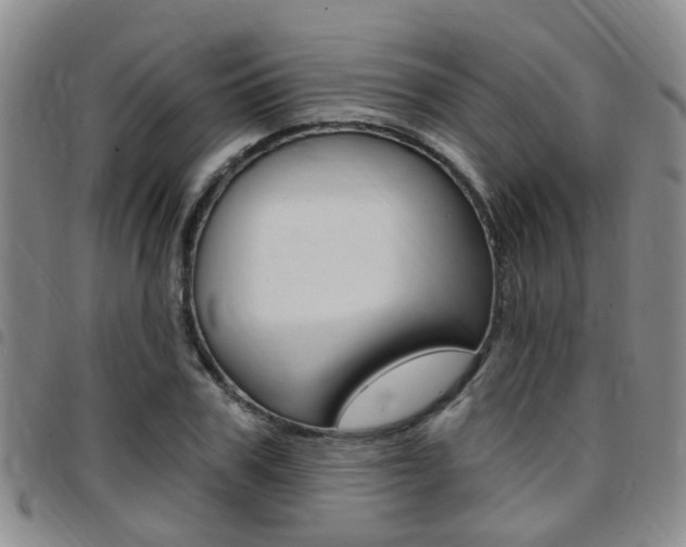 X0000097830979200803140824