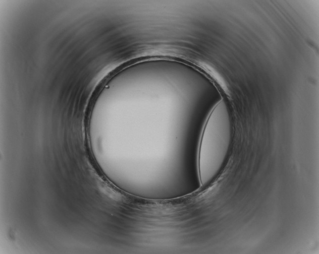 X0000097830980200803140824