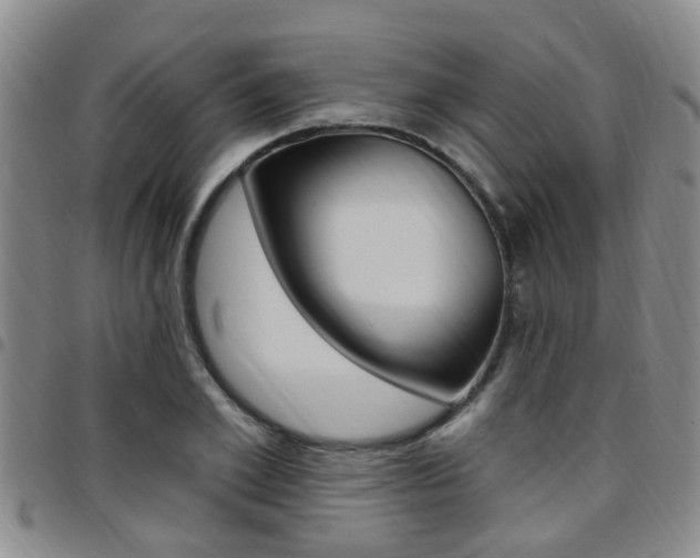 X0000097830981200803140824