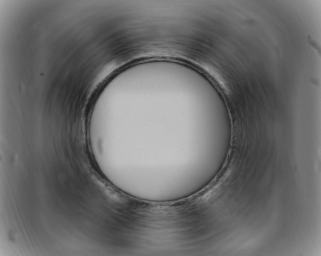 X0000097830982200803140824