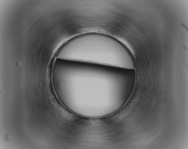 X0000097830983200803140824