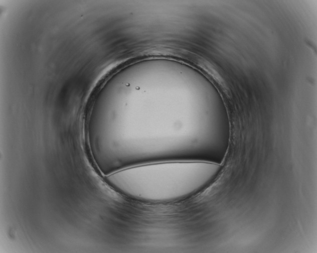 X0000097830984200803140824