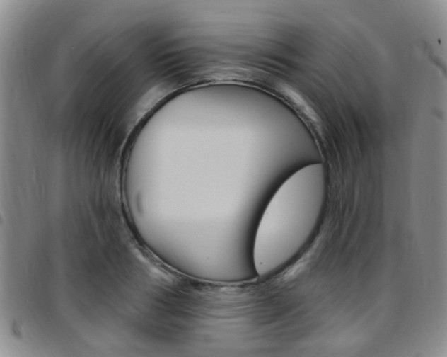 X0000097830986200803140824