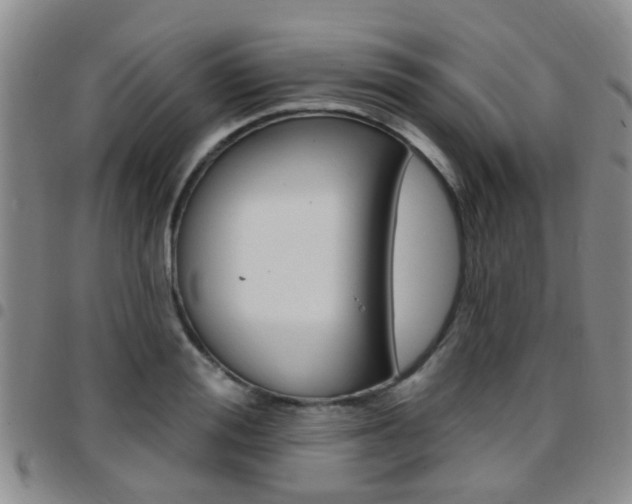 X0000097830988200803140824