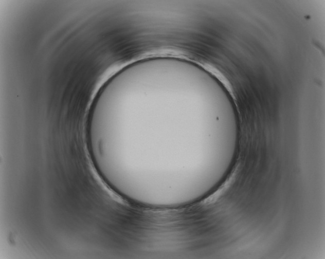 X0000097830989200803140824
