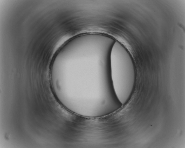 X0000097830990200803140824