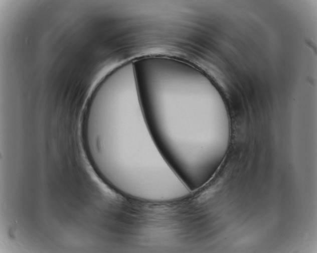 X0000097830991200803140824