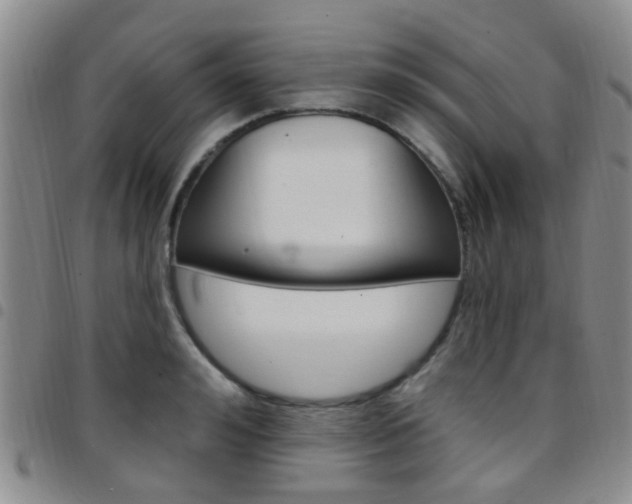 X0000097830992200803140824