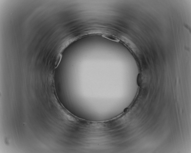 X0000097830993200803140824