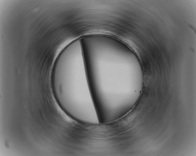 X0000097830995200803140824
