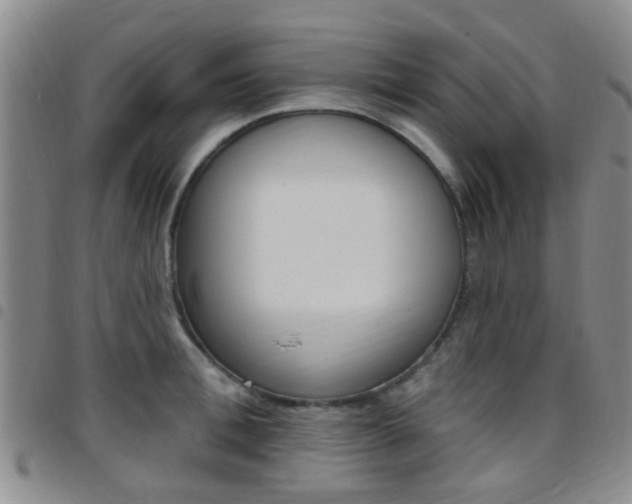 X0000097830996200803140824
