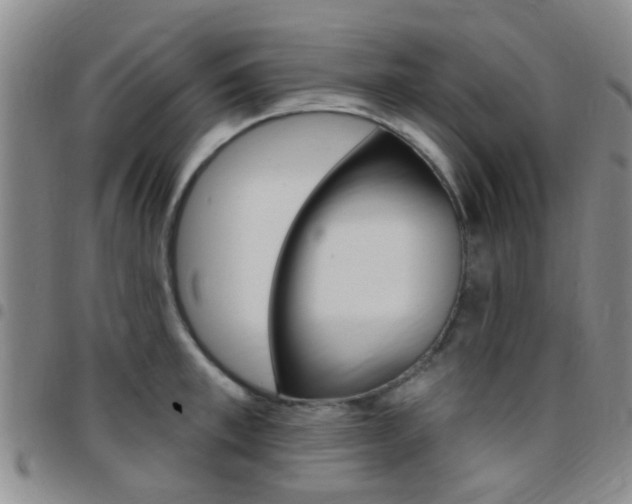 X0000097830997200803140824