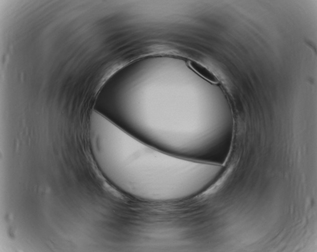 X0000097831001200803140824