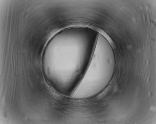 X0000097831004200803140824