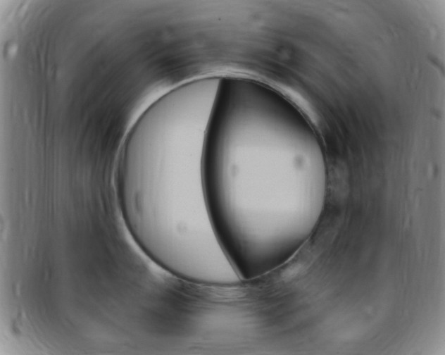 X0000097831007200803140824